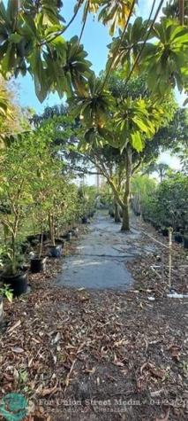 3321 SE 38th Avenue Okeechobee FL 34974