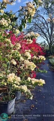 3321 SE 38th Avenue Okeechobee FL 34974