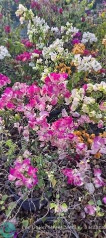 3321 SE 38th Avenue Okeechobee FL 34974