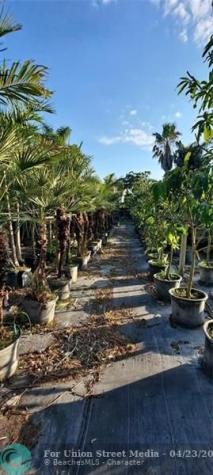 3321 SE 38th Avenue Okeechobee FL 34974