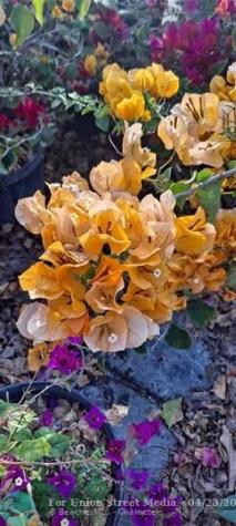 3321 SE 38th Avenue Okeechobee FL 34974