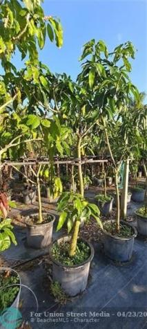 3321 SE 38th Avenue Okeechobee FL 34974