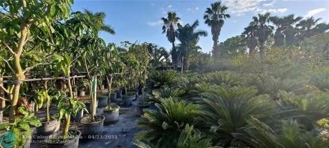 3321 SE 38th Avenue Okeechobee FL 34974