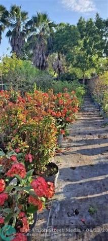 3321 SE 38th Avenue Okeechobee FL 34974