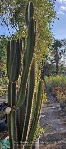 3321 SE 38th Avenue Okeechobee FL 34974