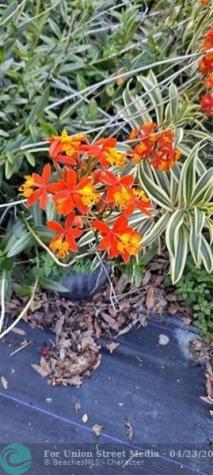 3321 SE 38th Avenue Okeechobee FL 34974