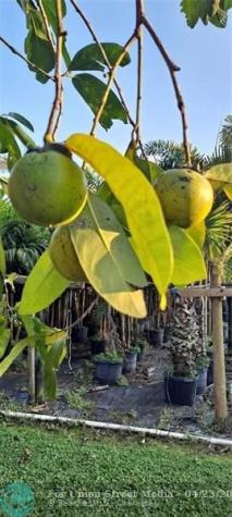 3321 SE 38th Avenue Okeechobee FL 34974