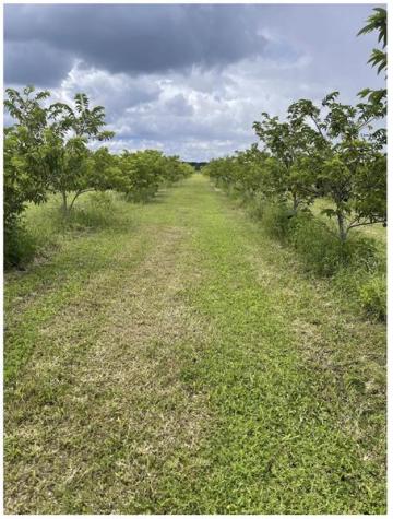 149XX SW 224 Street Miami FL 33170