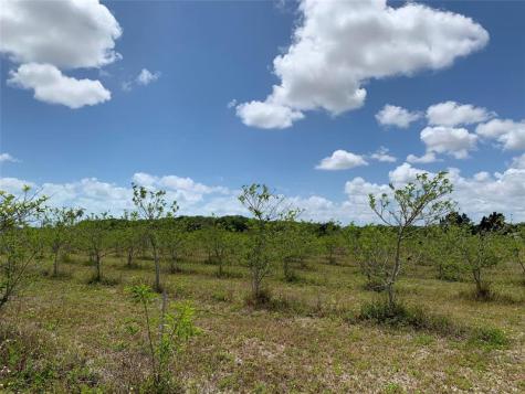 149XX SW 224 Street Miami FL 33170