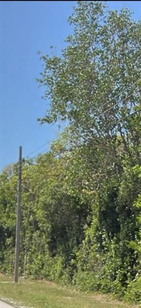 Card Ound Road Homestead FL 33035