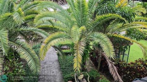 19801 SW 271st Street Homestead FL 33031