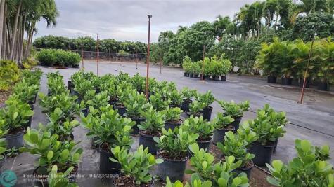 19801 SW 271st Street Homestead FL 33031