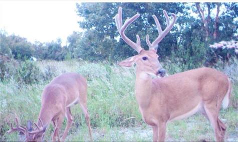 5525B Sparta Road Sebring FL 33875