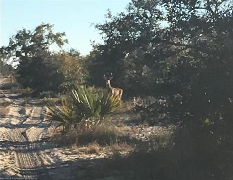 5525B Sparta Road Sebring FL 33875