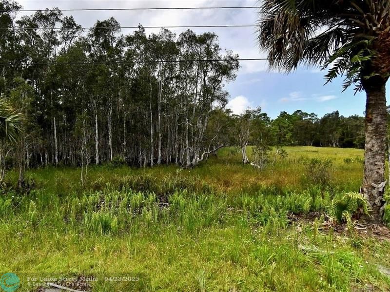 Silver Oak Drive Port St Lucie FL 34952