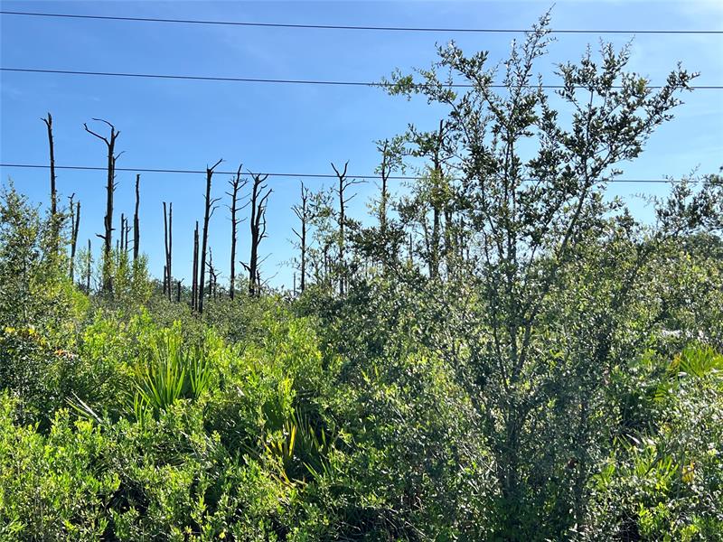 34964 Us Highway 441 Okeechobee FL 34972