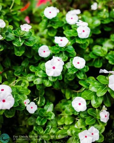 3301 SE 12th Street Pompano Beach FL 33062