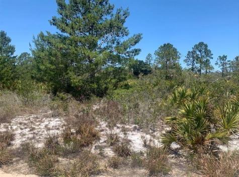2918 W Gaffney Road Avon Park FL 33825