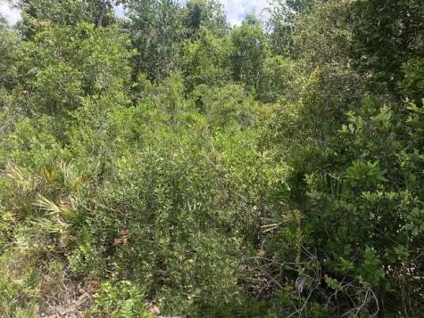 Xeriscape Nursery Road Frostproof FL 33898