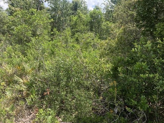 Xeriscape Nursery Road Frostproof FL 33898