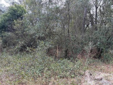 County Road 54 E Kathleen FL 33849