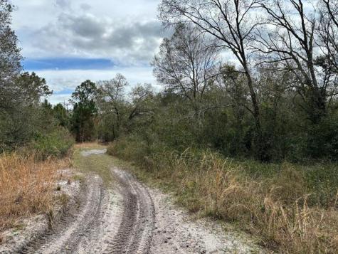 County Road 54 E Kathleen FL 33849