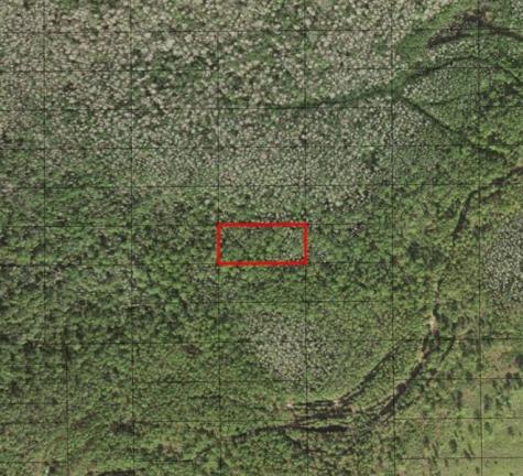 Holopaw Groves Road St. Cloud FL 34772