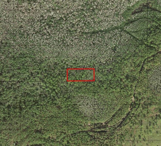Holopaw Groves Road St. Cloud FL 34772