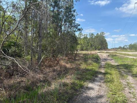 Holopaw Groves Road St. Cloud FL 34772