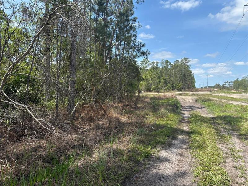 Holopaw Groves Road St. Cloud FL 34772