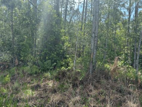 Holopaw Groves Road St. Cloud FL 34772