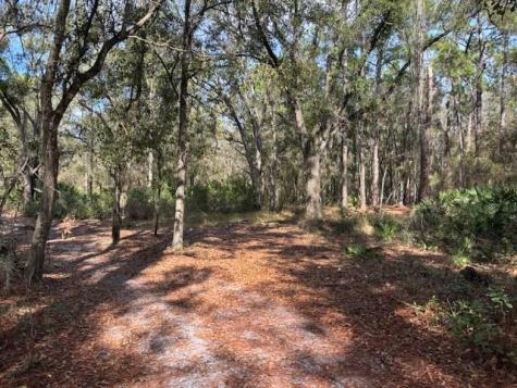 County Road 54 E Kathleen FL 33849
