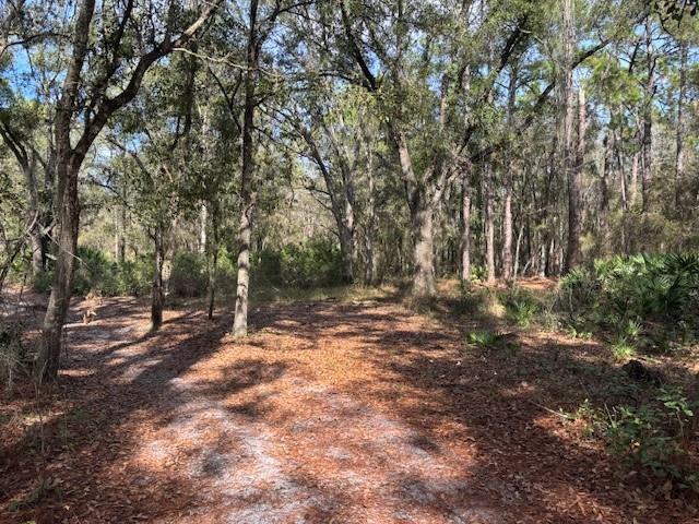 County Road 54 E Kathleen FL 33849