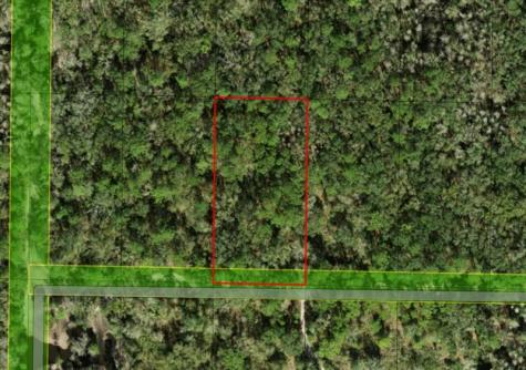 County Road 54 E Kathleen FL 33849