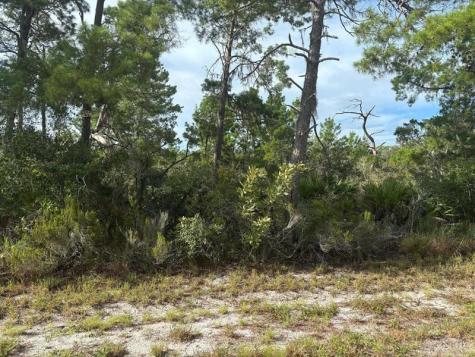 635 Boylston Street Lake Placid FL 33852