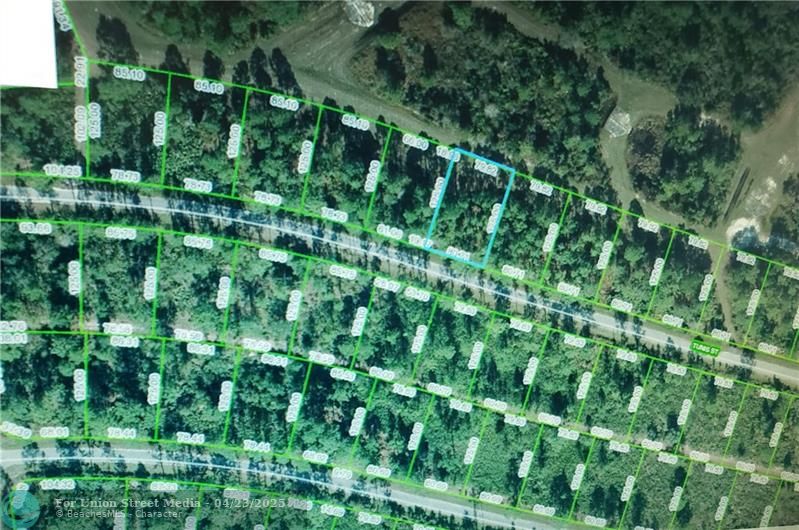 8644 Tunis Street Other City - In The State Of Florida FL 33872