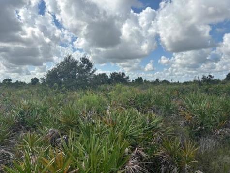 NW 314th Street Okeechobee FL 34972