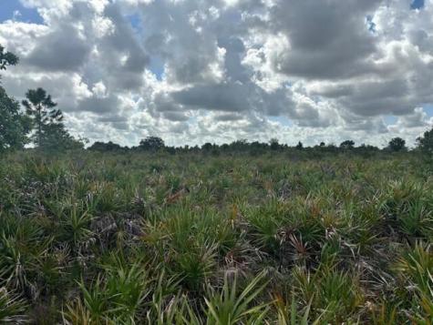 NW 314th Street Okeechobee FL 34972