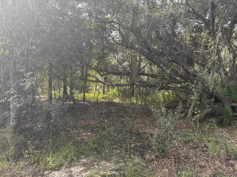 NW 304th Street Okeechobee FL 34972