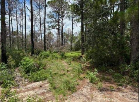 328 Claverton Drive Lake Placid FL 33852