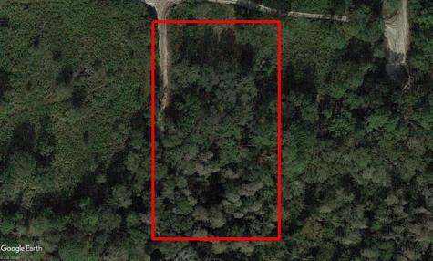 County Road 54 E Kathleen FL 33849