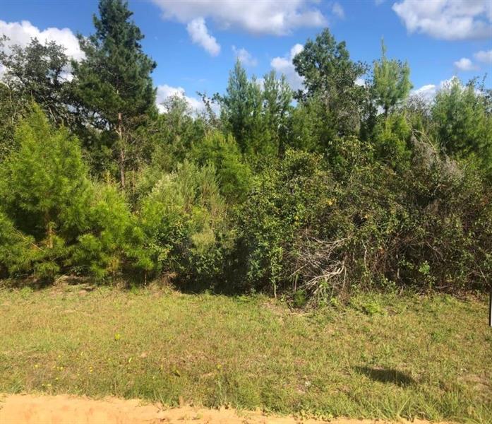 204 Usina Avenue Interlachen FL 32148