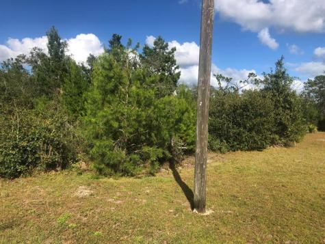 204 Usina Avenue Interlachen FL 32148