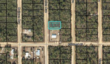 204 Usina Avenue Interlachen FL 32148
