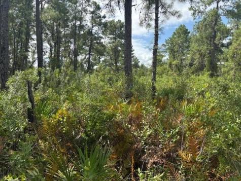 Highway 630e Frostproof FL 33843