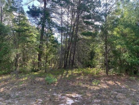 Evans Avenue Interlachen FL 32148