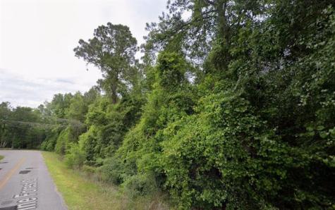 291 SW Pine Forest Court Lake City FL 32024