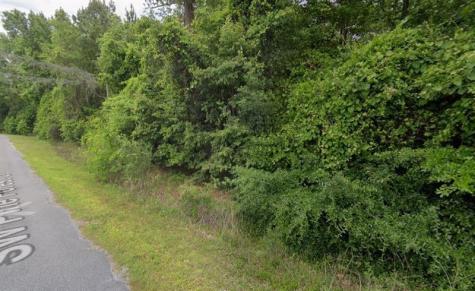291 SW Pine Forest Court Lake City FL 32024