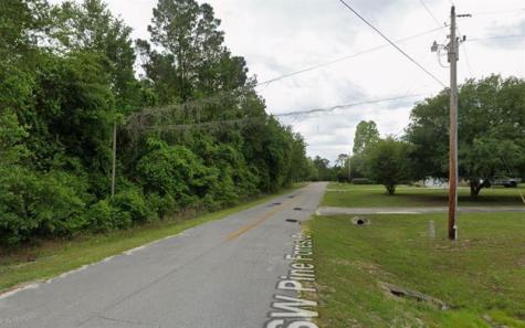 291 SW Pine Forest Court Lake City FL 32024