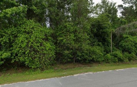 291 SW Pine Forest Court Lake City FL 32024